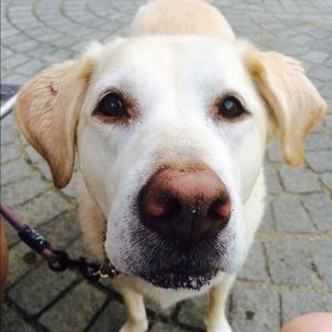 Meet your Posher, Jamie